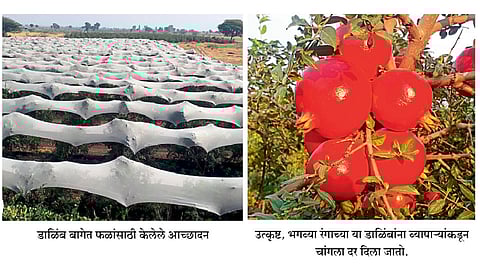 संघर्षातून उजळल्या प्रगतीच्या वाटा 