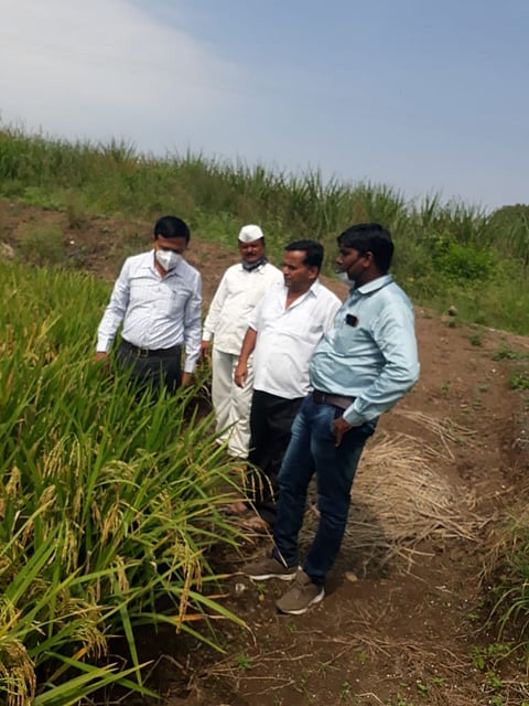 Youth from Akole taluka also farmed in the crisis of Corona