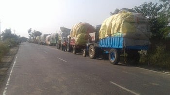 अरे बापरे अचानक एवढा कापूस आला कुठून;  कुर्‍हे कापूस केंद्रावर रातोरात वाहनांच्या रांगा !