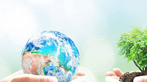 पर्यावरणाचे शत्रू