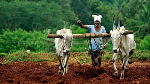 Farmer