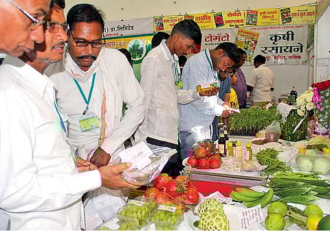 नाशिक - ‘सकाळ- ॲग्रोवन’ आणि यशवंतराव चव्हाण महाराष्ट्र मुक्त विद्यापीठ यांच्यातर्फे आयोजित राष्ट्रीय फलोत्पादन महापरिषदेत रविवारी प्रदर्शनात फळांविषयी माहिती जाणून घेताना शेतकरी.