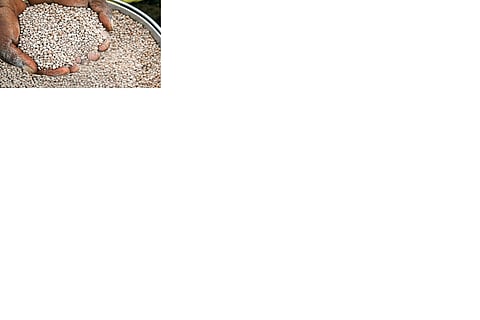  Mixed manure is ready. But farmers do not get it for this reason. Find out which is the reason