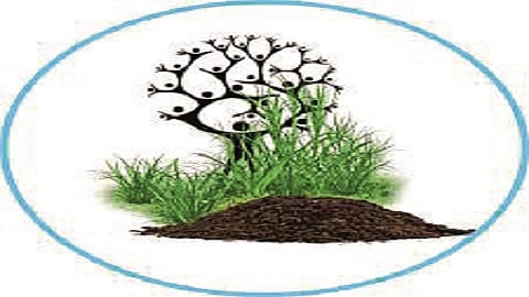 Paani Foundation