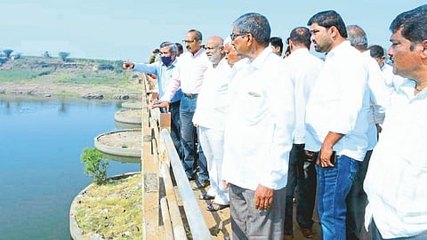 Plant bamboo; Protect the environment