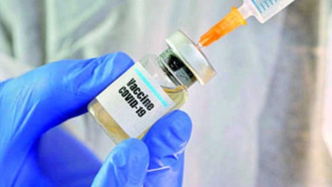 WHO says 8 Covid-19 vaccine candidates in clinical trial