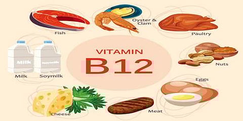 Include these foods in your diet to make up for vitamin B-12 deficiency!