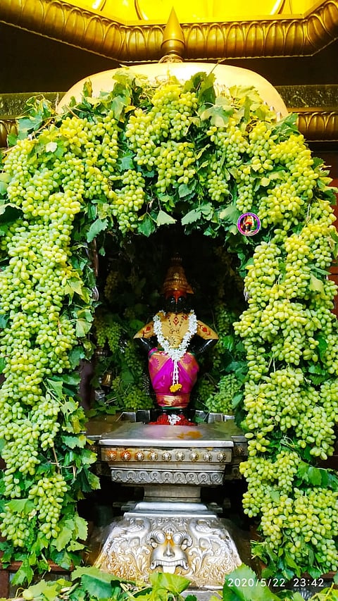 Adorable decoration with the help of grape vines in the temple of Sri Vitthal Rukmini