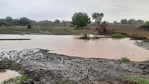 रोहिलागडच्या शेतशिवारात साचलेले पाणी. 