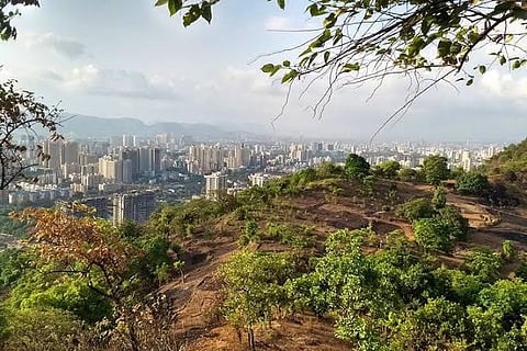 येऊरच्या डोंगरावर डिजेचा धिंगाणा बंद 