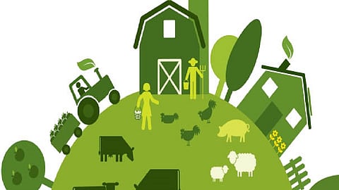 A thorough inquiry of the director from the clerk