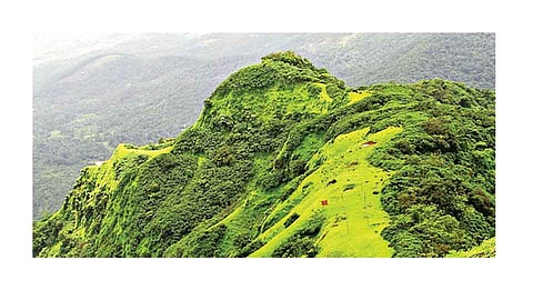 Radhangari canctuary area are reduced