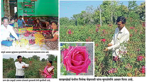 अल्पभूधारकांच्या आयुष्यात गुलाबाची टवटवी 