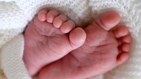 मृत्यूच्या तांडवात नव्या जिवाचा जन्म 