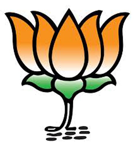 news about nagpur bjp 