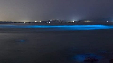 blue sea picture see in kokan tourist visit to see in ratnagiri