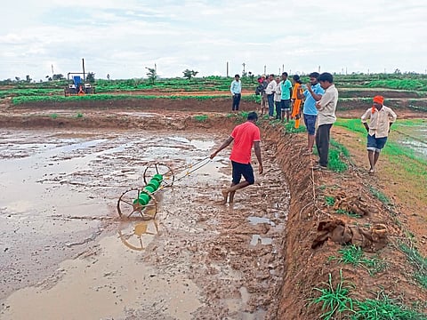 Farmer's Fisheries Experiment in rice Farming