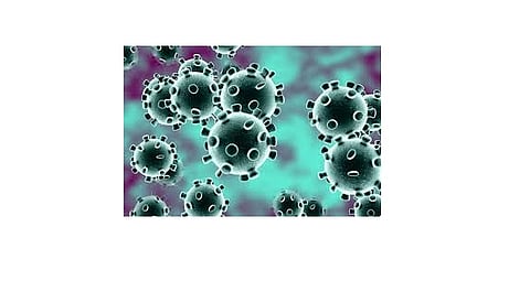 The corona virus changed everyone life