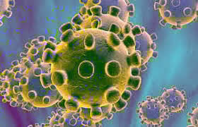  "Corona's condition is serious in this district!
