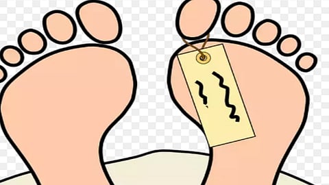 destroying of dead bodies on open space in belgaum and effectiveness in administration