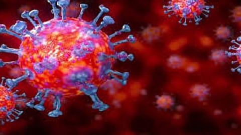 death rate of corona patients in ratnagiri increased compared to state but the patient registration less in rangatgiri