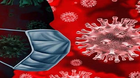 corona testing report of 15 people who from england in balgam report  negative