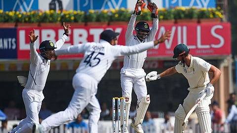 cricket