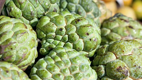 custard_apple.jpg