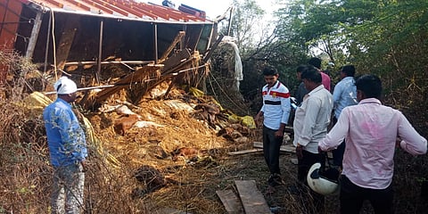 ट्रक पलटी, 40 शेळ्या मृत्युमुखी