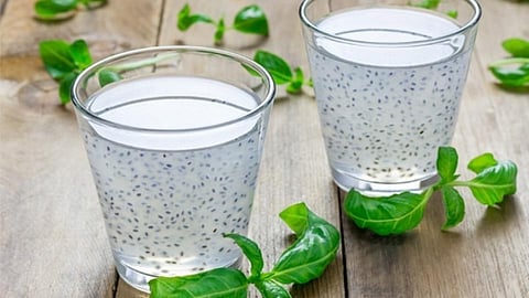 उष्णतेमुळे हैराण झालात? मग आहारात करा सब्जा बीचा समावेश