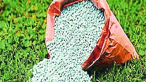  Chemical fertilizers more expensive from April farm agriculture marathi news