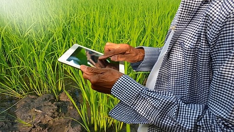 Farmers Will Participate In The Sugarcane Conference From The Field Itself Kolhapur Marathi News