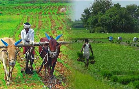 Akola News: Highly educated youth on their way to agriculture