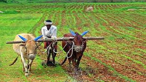 farmer ready for farming in kokan