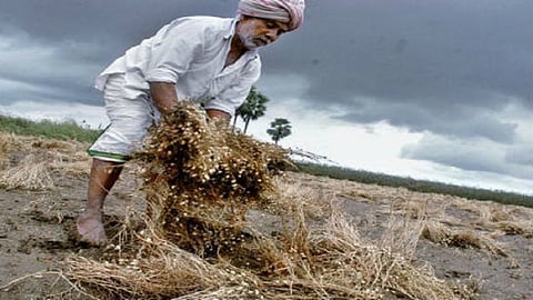 returning monsoon is dangerous  for crops of farmers 