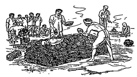 सातारा जिल्ह्यात प्रशासनास उभारावी लागली आणखी एक स्मशानभूमी