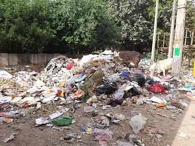 garbage