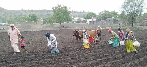 hingoli photo
