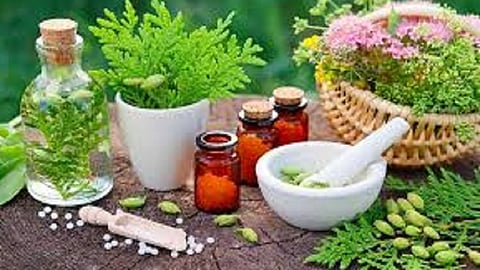 Homeopathy can be treated with coronavirus kokan marathi news