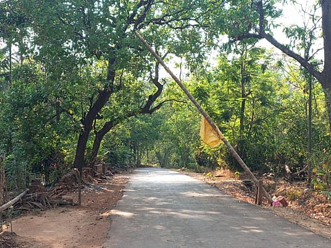 coronavirus effect in sindhudurg district