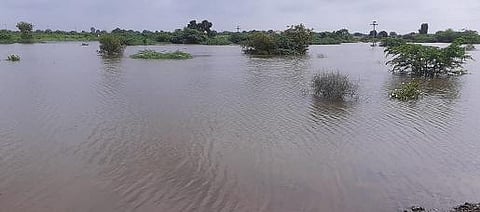The lake in Karpadi is full due to rains