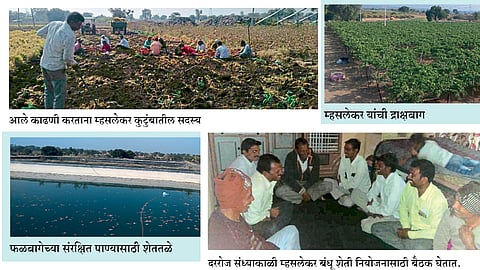 एकी, नियोजनातून बदलले शेतीचे रूप