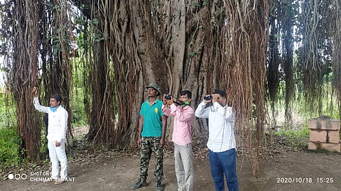 More than 50 new birds were recorded in Manadesha