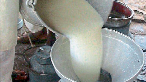 दूध उत्पादकांना नुकसानभरपाई द्यावी