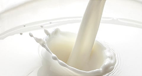 Medical and Mayo buy milk high rate