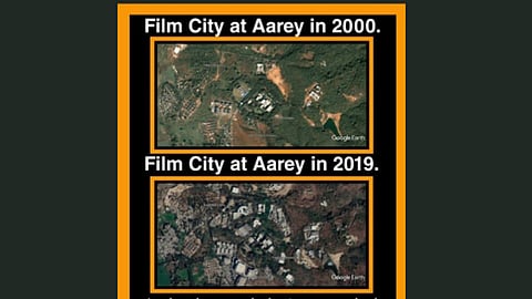 #AareyForest बॉलिवूडकरांनो ढोंगीपणा बंद करा; नेटिझन्सने सुनावले
