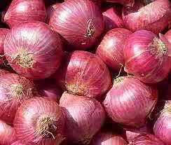 onion.jpg
