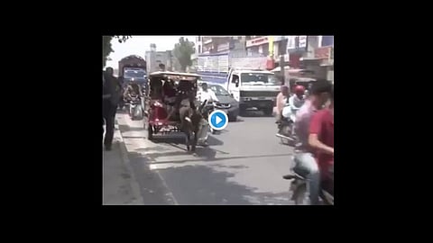 pakistan reporters video viral after increase rate of petrol