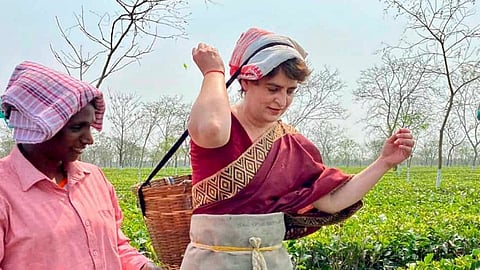 priyanka gandhi
