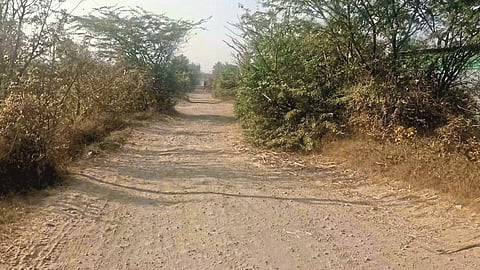 Neglect of roads in Maharashtra; Asphalting in Karnataka